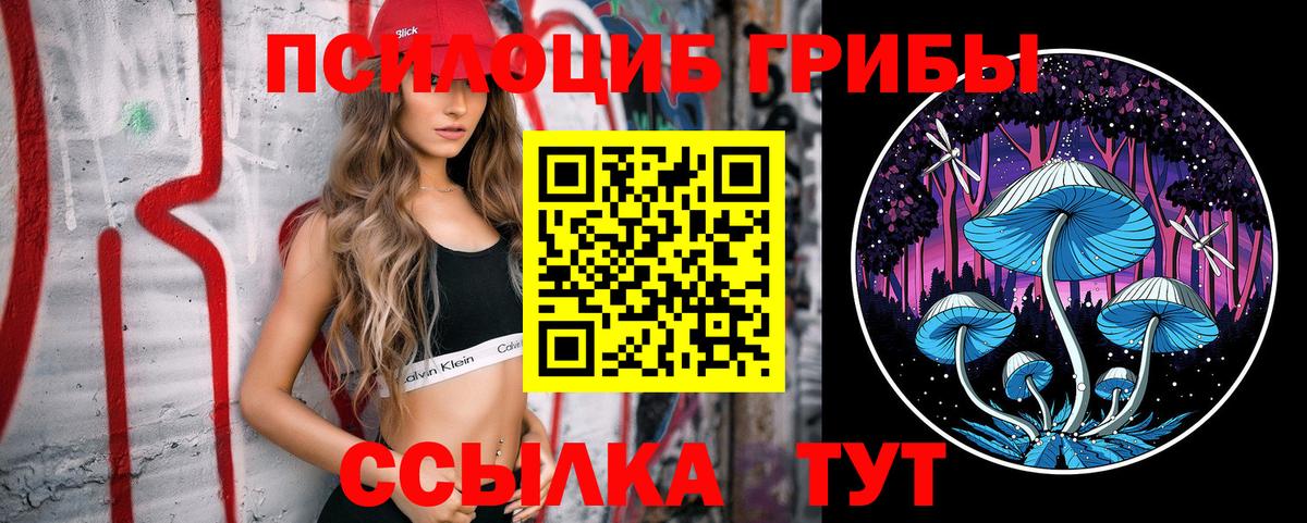 Галлюциногенные грибы прущие грибы  Вход с VPN  Карпинск 